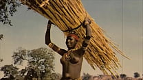‘Global Beauty’ from My Secret Life, The Sexual Memoirs of an English Gentleman